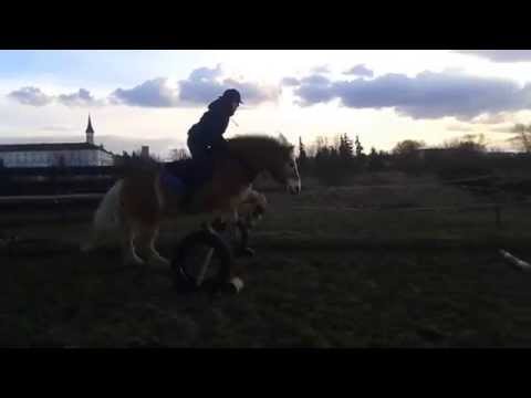 Katsumi: Ve dvou se to lépe táhne