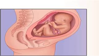 الجماع في الشهر الثامن تحميل اغاني مجانا