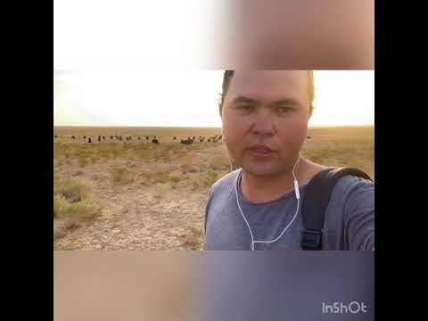 Участник 7865, 8GrF9Lz5J6g