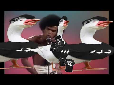 100 liba egy sorban mennek a nagy tóra🪿 - Zsozeatya🪿🪿