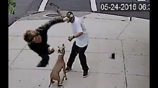 Dog lover knocks out a dog abuser!!!