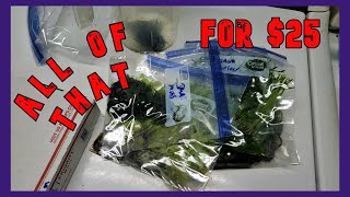 How I Sell And Ship My Plants