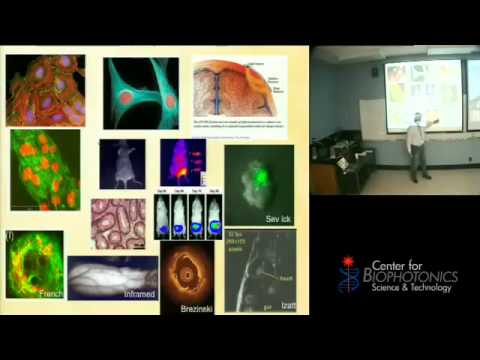 Overview - Introduction to Biophotonics