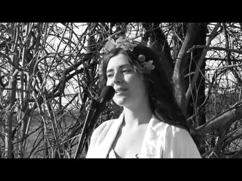 Aurea Aetas - Whales (Unplugged Session // Outside)