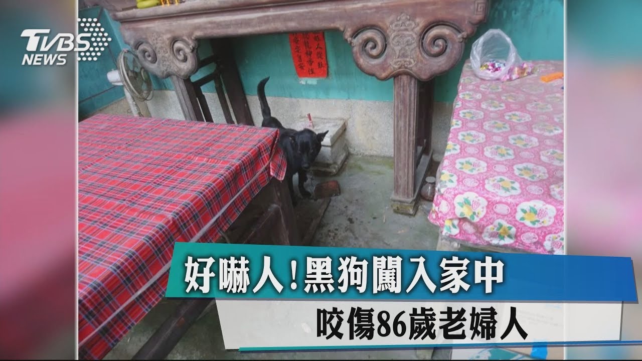 好嚇人!黑狗闖入家中 咬傷86歲老婦人