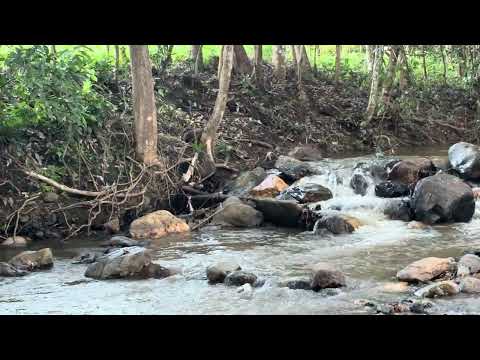 Río Juan de Paz . Los Amates Izabal.