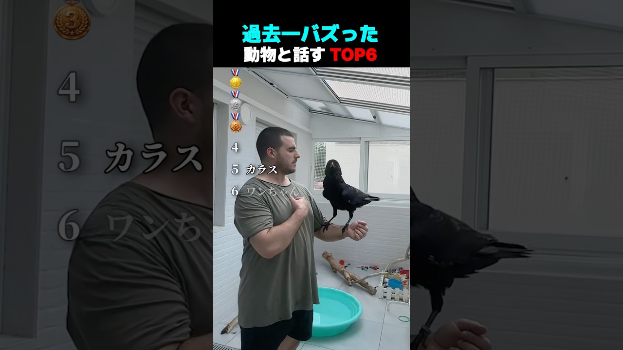 過去一バズった ! ? 動物と話す TOP6