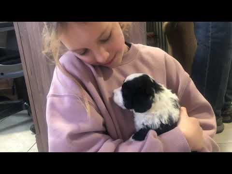 12/21/20 Anna Claire meets her new puppy