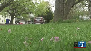 VIDEO: Allergists discuss if the pollen count is above normal this year