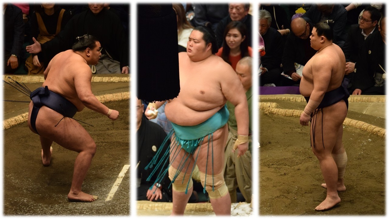Crazy Yokozuna schedules; Kotozakura wins tournament (Sumo News, Mar 30th)