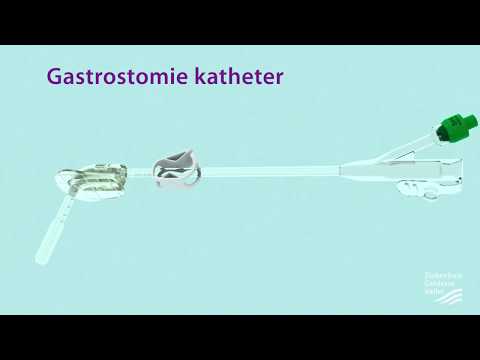 Gelderse Vallei | Gastronomiekatheter