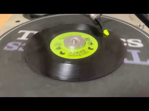 Vinyl JUNGLE JUNGLE / IRATION STEPPAS feat TENA STELIN