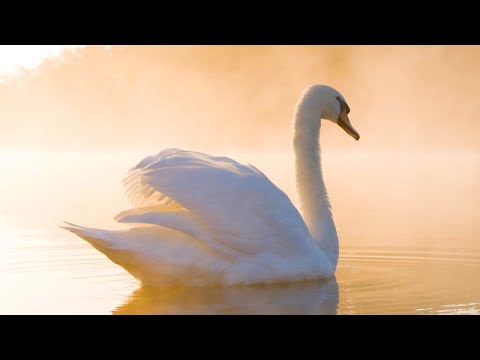 Beautiful Relaxing Hymns, Peaceful Instrumental Music, "Quiet Lake Morning Sunrise" Tim Janis