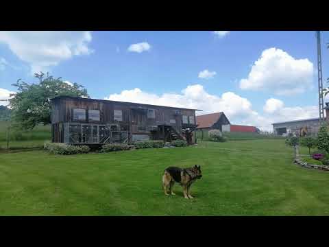 Kostrzyn II 527km 1,2,3,4,5,6,7,8,9 w oddziale