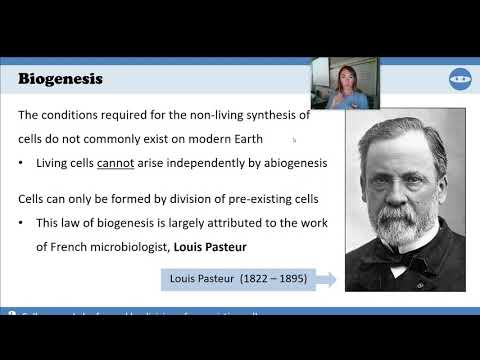 1.5 - IB Biology - Origin of Cells