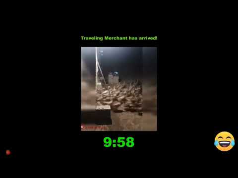 When The Traveling Merchant Arrives....