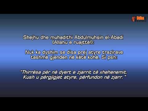 Hadithet e trazirave, a i referohen kohës tonë? Shejh Abdulmuhsin el-Abad