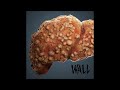 Wall Cirrhosis Single 2024