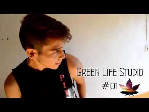 GREEN LIFE STUDIO #01 PITOÑO