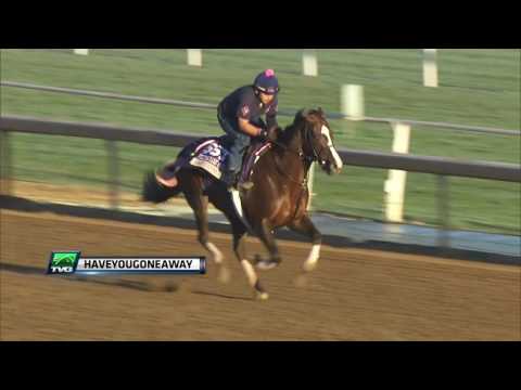 Morley "Thrilled" with Haveyougoneaway