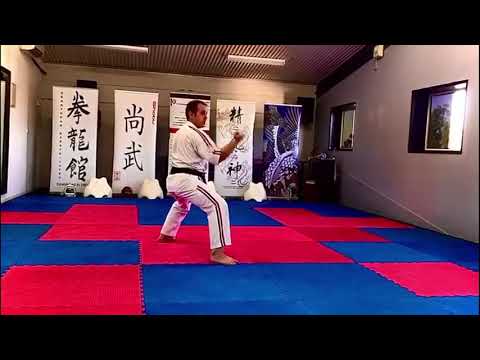 Kata Nijushiho performed by Shihan Andrew Riley