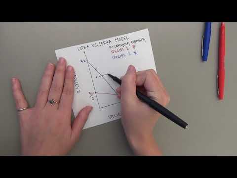 Competition Explained by Lotka-Volterra Model