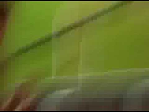 Sporting-Milan 2008 gol de Bilic