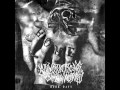 annotations of an autopsy - stage breaker (with ...