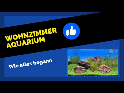 Das Wohnzimmeraquarium