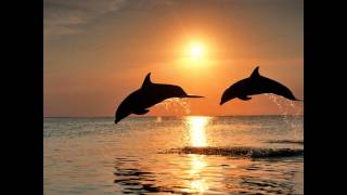 Paulina Rubio - Amor Secreto (Rumba).wmv