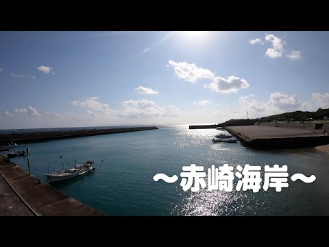 【ヨロン島紹介】赤崎海岸1