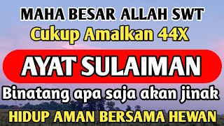 Download lagu AYAT SULAIMAN INNAHU MIN SULAIMAN | AYAT UNTUK MENJINAKKAN HEWAN | SURAT NABI SULAIMAN UNTUK HEWAN mp3 Download lagu AYAT SULAIMAN INNAHU MIN SULAIMAN | AYAT UNTUK MENJINAKKAN HEWAN | SURAT NABI SULAIMAN UNTUK HEWAN mp3