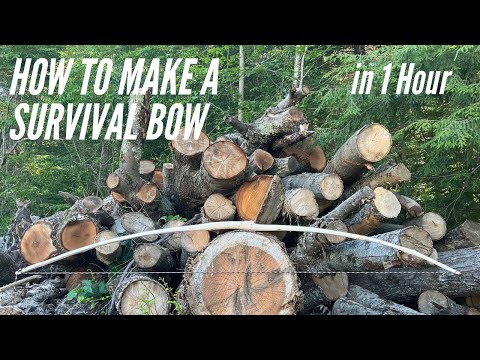 How to Make A Survival Bow | 1 Hour Build