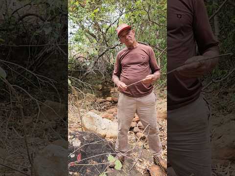 VALE DO JEQUITINHONHA MG 🇧🇷 FALTA SERVIÇO, PESSOAS VÃO TRABALHAR EM OUTRA CIDADE #trabalho