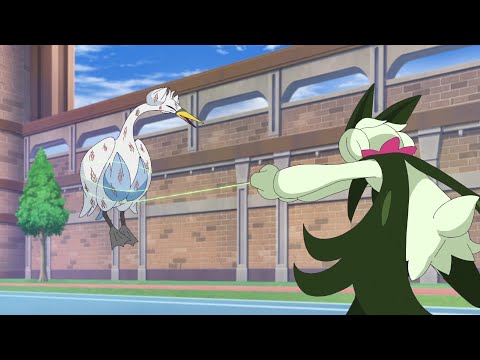 Liko VS Bocco in Pokemon Horizons Episode 126 | Pokemon Horizon Full Episode 126 | Pokemon Horizon