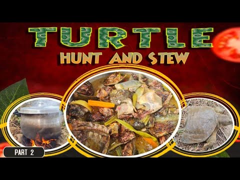 EP855-P2 - Turtle Hunt and Stew