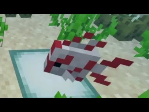 Finally, Minecraft Fish Summons Demon!