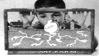 Tobin Sprout - Inside The Blockhouse (version two)