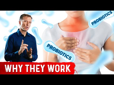 Maximizing Gut Health Optimal Timing for Probiotic Intake