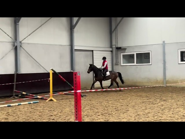 Ridden video Oberon van t Goed ten Neuville