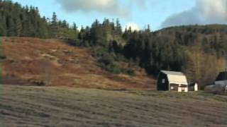 Ashley MacIsaac - Me, Myself, and the Devil