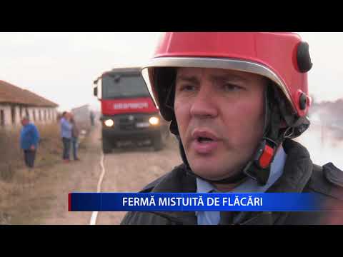 FERMA MISTUITA DE FLACARI