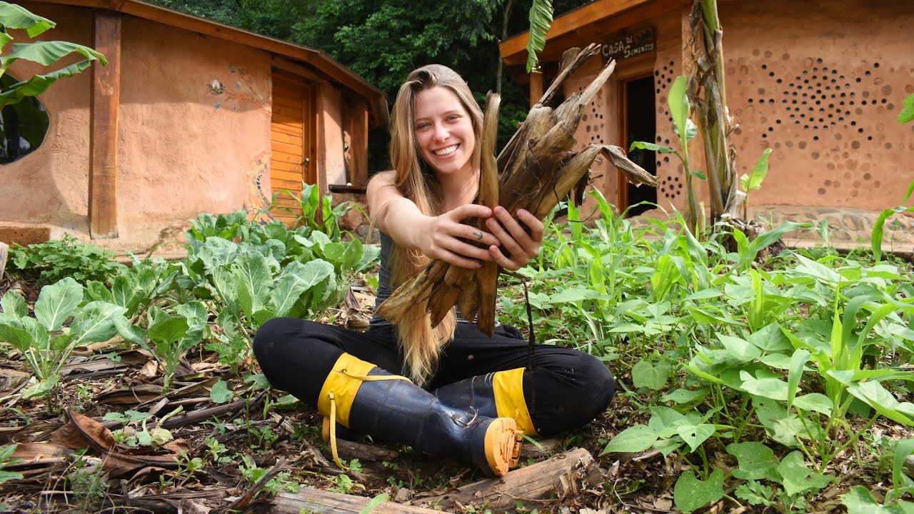 Matéria orgânica não é adubo