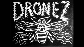 Dronez-Disarm