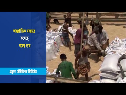 আন্তর্জাতিক বাজারে কমেছে গমের দাম তবে দেশে এর সুফল পাচ্ছেন না ভোক্তারা | ETV News