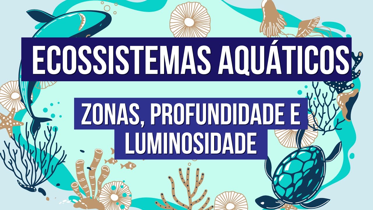 ECOSSISTEMAS AQUÁTICOS: zonas, profundidade e luminosidade | Biologia para o Enem | Cláudia Aguiar