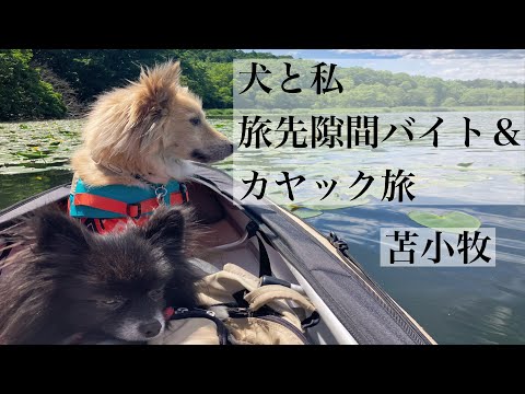 [Hokkaido solo trip with dog] 2 nights, 3 days, kayaking trip - Kayaking Lake Shikotsu → Lake Por...