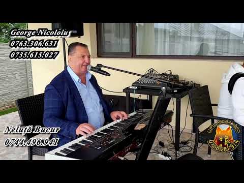 George Nicoloiu si Neluta Bucur   Colaj de hore și sârbe la Pechea 2020