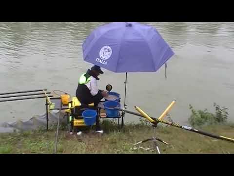 Tubertini Team Ireland - Croatia World Championships 2014