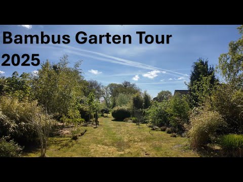 Garten Tour in meinem "Bambus" Garten, es gibt auch andere Pflanzen aber Gräser habe ich am meisten